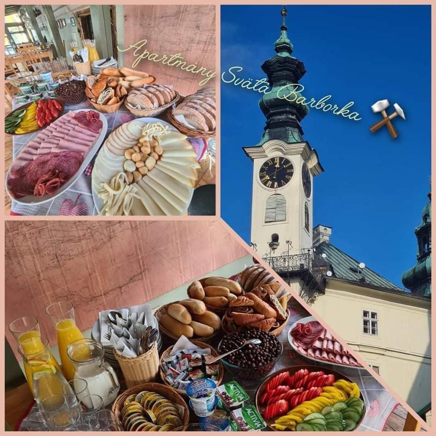 Apartmany Svaeta Barborka Banská Štiavnica 외부 사진